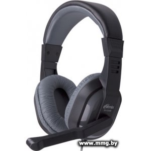 Ritmix RH-534M