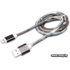Кабель Ritmix RCC-422