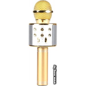 Купить Микрофон Wster WS-858 (золотистый) в Минске, доставка по Беларуси