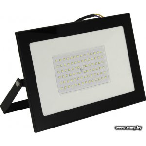Купить Прожектор SmartBuy SBL-FLLIGHT-100-65K в Минске, доставка по Беларуси