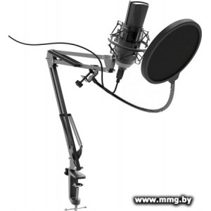 Микрофон Ritmix RDM-180 черный