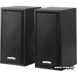 Купить SmartBuy SBA-101 ONE в Минске, доставка по Беларуси
