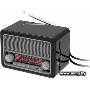Радиоприемник Ritmix RPR-035