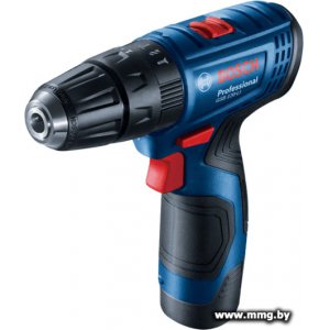Bosch GSB 120-LI Professional 06019G8100 (с 2-мя АКБ, кейс)