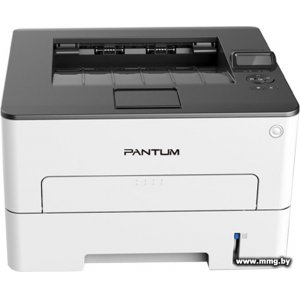 Pantum P3010DW