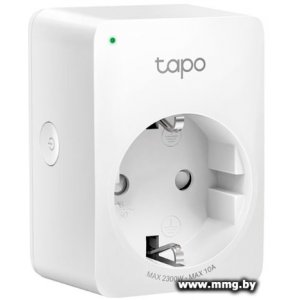 Умная розетка TP-Link Tapo P100 (1 шт)