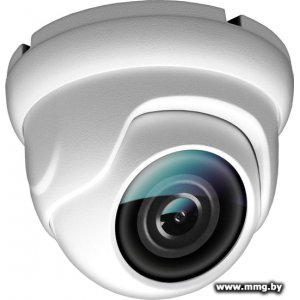 Купить IP-камера Ginzzu HID-2302A в Минске, доставка по Беларуси