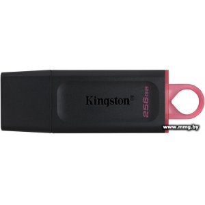Купить 256GB Kingston DataTraveler Exodia DTX/256GB в Минске, доставка по Беларуси