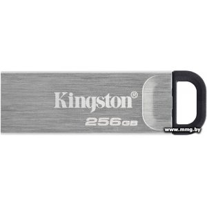 256Gb Kingston Kyson DTKN/256GB