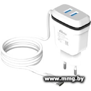 Зарядное устройство Ritmix RM-2082C