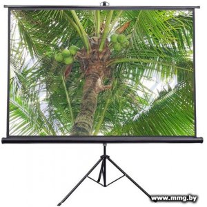 Купить Future Vision Tripod 180x180 T180SMW в Минске, доставка по Беларуси