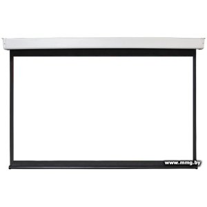 Купить Future Vision Video Electric 240x180 E240VMW в Минске, доставка по Беларуси