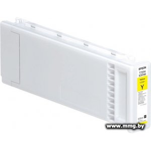 Картридж Epson C13T725400