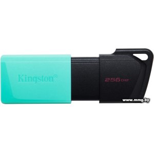 Купить 256GB Kingston DataTraveler Exodia M DTXM/256GB в Минске, доставка по Беларуси
