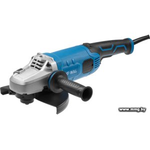Bull WS 2301