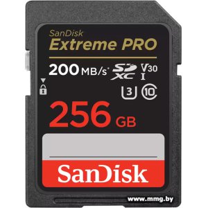Купить SanDisk 256GB SDXC Extreme PRO SDSDXXD-256G-GN4IN в Минске, доставка по Беларуси