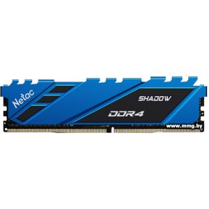 8GB PC4-28800 Netac NTSDD4P36SP-08B