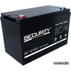 Купить Security Force SF 12100 (12В/100 А·ч) в Минске, доставка по Беларуси