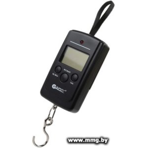 Garin Точный Вес DS2