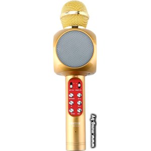 Микрофон Wster WS-1816 (золотистый)