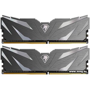 32GB (2x16GB) PC4-25600 Netac NTSWD4P32DP-32K