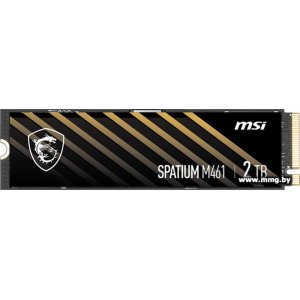 Купить SSD 2TB MSI Spatium M461 S78-440Q550-P83 в Минске, доставка по Беларуси