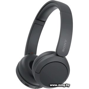 Sony WH-CH520 (черный)