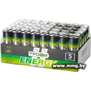 Купить Батарейка Трофи AA LR6-40 bulk ECO (40шт) Б0027815 в Минске, доставка по Беларуси