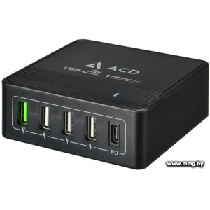Зарядное устройство ACD ACD-P605U-V1B