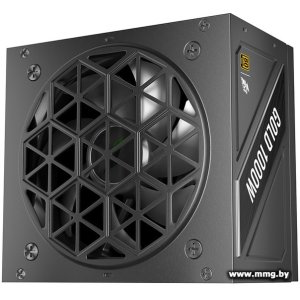 1000W 1stPlayer NGDP Gold HA-1000BA4