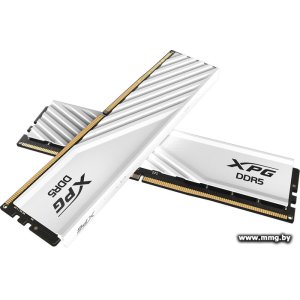 Купить 32Gb (2x16Gb) PC5-44800 ADATA AX5U5600C4616G-DTLABWH в Минске, доставка по Беларуси