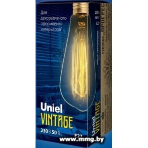 Купить Лампа светодиодная Uniel IL-V-ST64 E27 60 Вт UL-00000482 в Минске, доставка по Беларуси
