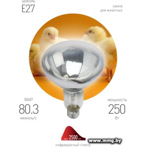 Купить Инфракрасная лампа ЭРА ИКЗ 220-250 R127 E27 Б0055440 в Минске, доставка по Беларуси