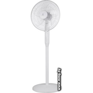 Electrolux EFF-1006W