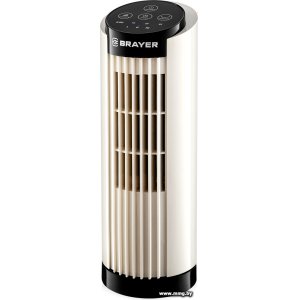 Купить Brayer BR4979 в Минске, доставка по Беларуси