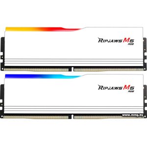 64Gb (2x32Gb) PC5-48000 G.Skill F5-6000J3238G32GX2-RM5RW