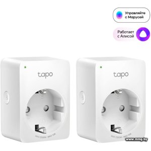 Купить Умная розетка TP-Link Tapo P100 (2 шт) в Минске, доставка по Беларуси