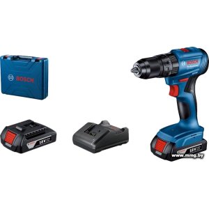Bosch GSB 185-LI Professional 06019K3100 (2 АКБ, кейс)