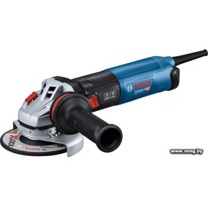 Bosch GWS 17-125 S (06017D0300)