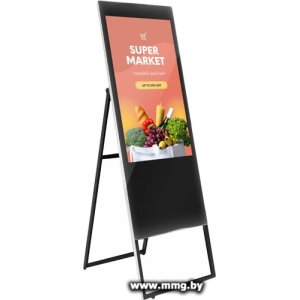 Купить ZKDigimax DG03-A2F43 в Минске, доставка по Беларуси