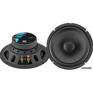 Купить Коаксиальная АС ESB Audio ESB 1.6C в Минске, доставка по Беларуси