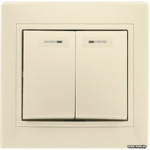 Купить Выключатель SmartBuy Венера SBE-01i-10-SW2-1-c в Минске, доставка по Беларуси