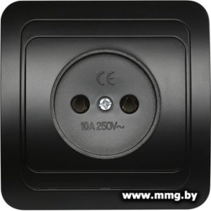 Купить Розетка SmartBuy Марс SBE-02b-10-S1-N-c в Минске, доставка по Беларуси