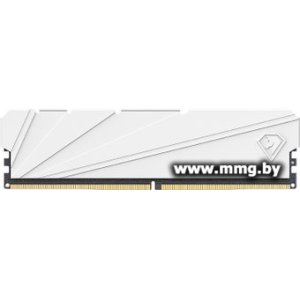8GB PC4-25600 Netac NTSSD4P32SP-08W