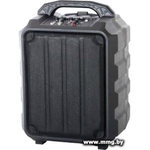 Колонка для вечеринок Leem PR-6
