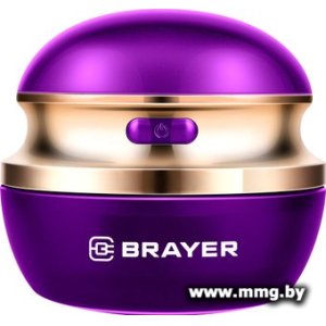 Brayer BR5031