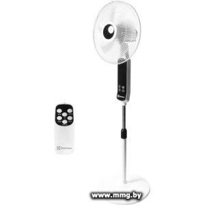 Electrolux EFF-901N
