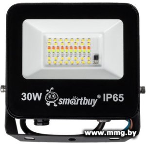 Купить Прожектор SmartBuy SBL-EFLRGB-30 в Минске, доставка по Беларуси