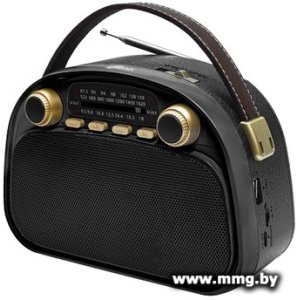 Купить Радиоприемник Ritmix RPR-040 (черный) в Минске, доставка по Беларуси