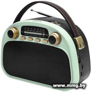 Купить Радиоприемник Ritmix RPR-040 (мятный) в Минске, доставка по Беларуси